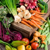 Nutrition Counseling